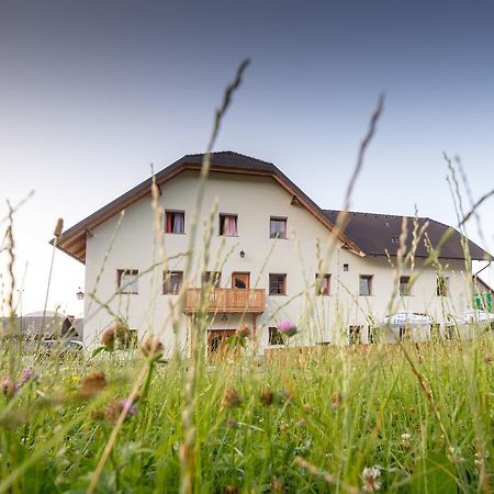 Guesthouse Macesen Spodnja Sorica Екстериор снимка