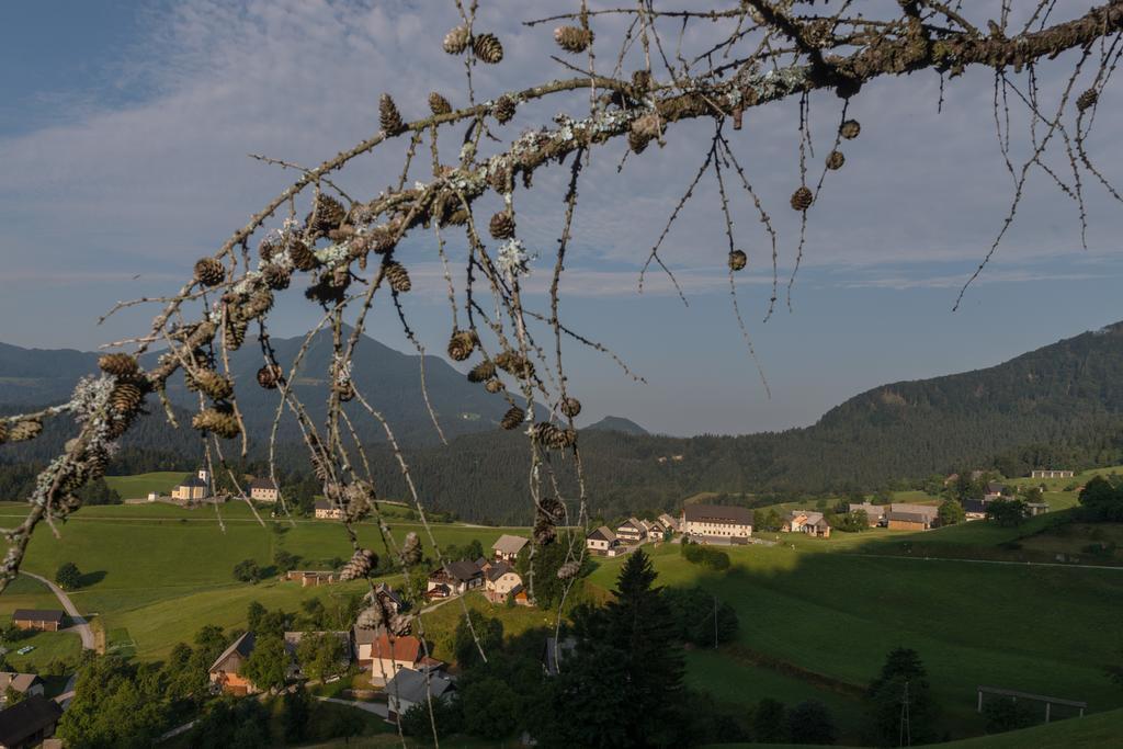 Guesthouse Macesen Spodnja Sorica Екстериор снимка
