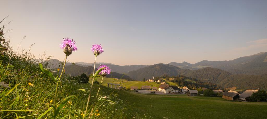 Guesthouse Macesen Spodnja Sorica Екстериор снимка