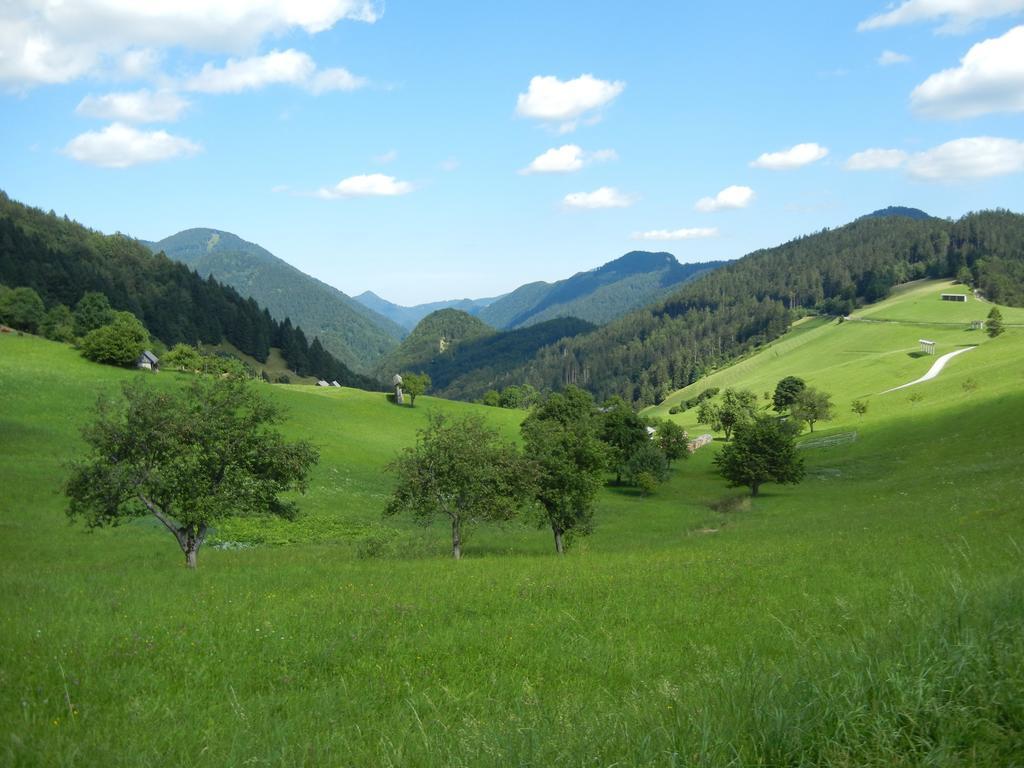 Guesthouse Macesen Spodnja Sorica Екстериор снимка